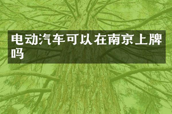 电动汽车可以在南京上牌吗