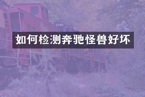 如何检测奔驰怪兽好坏