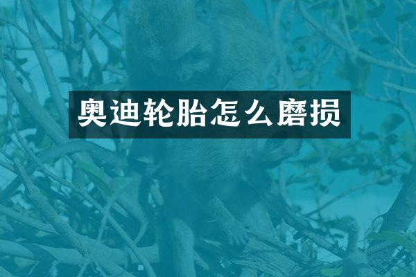 奥迪轮胎怎么磨损