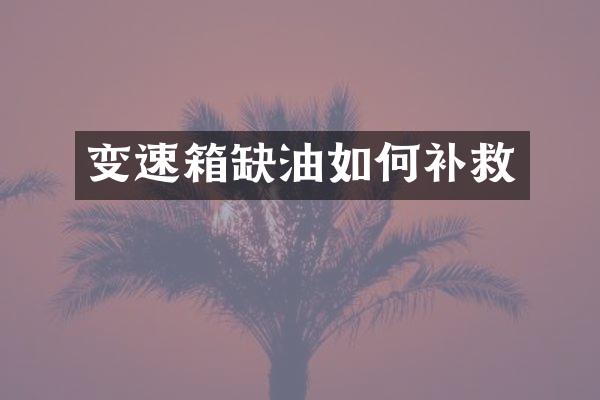 变速箱缺油如何补救