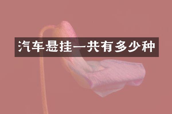 汽车悬挂一共有多少种