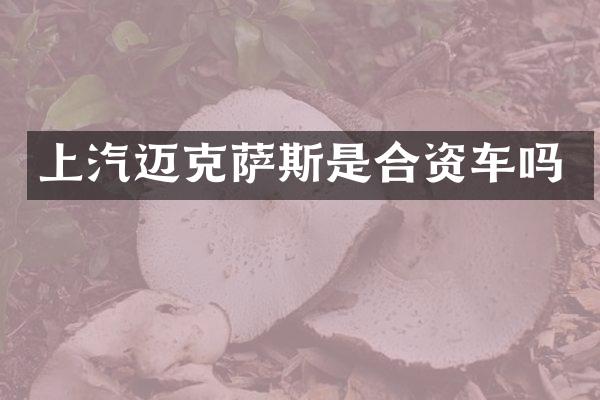 上汽迈克萨斯是合资车吗