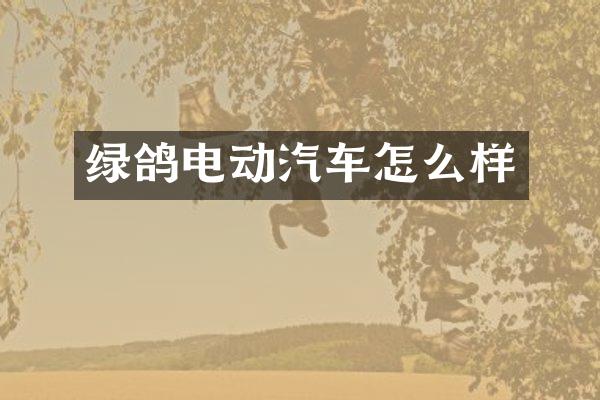 绿鸽电动汽车怎么样