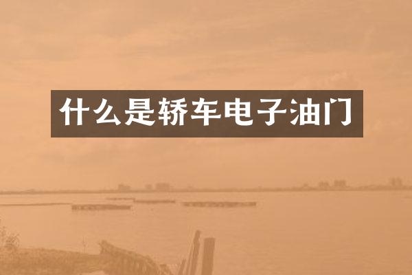 什么是轿车电子油门