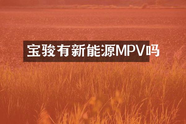 宝骏有新能源MPV吗