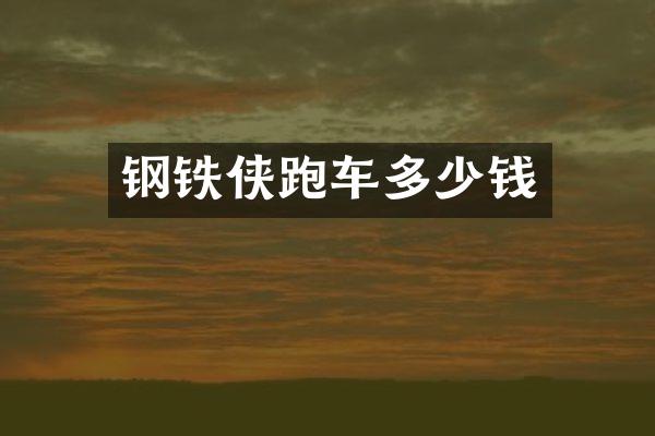钢铁侠跑车多少钱