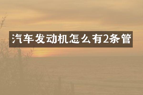 汽车发动机怎么有2条管