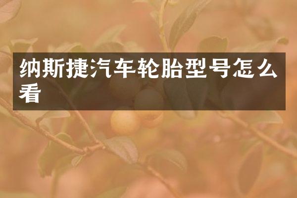 纳斯捷汽车轮胎型号怎么看