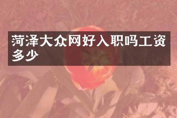 菏泽大众网好入职吗工资多少