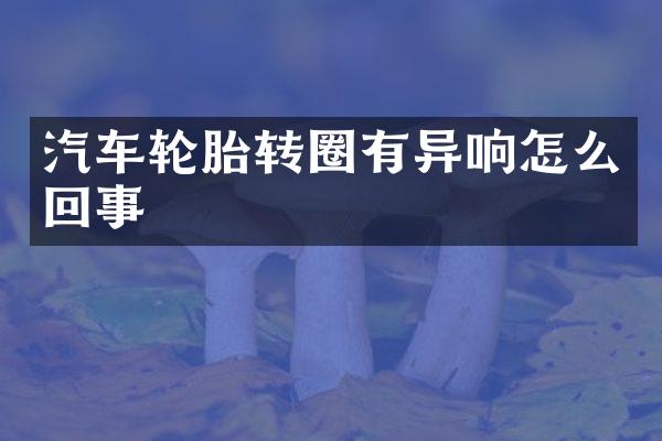 汽车轮胎转圈有异响怎么回事