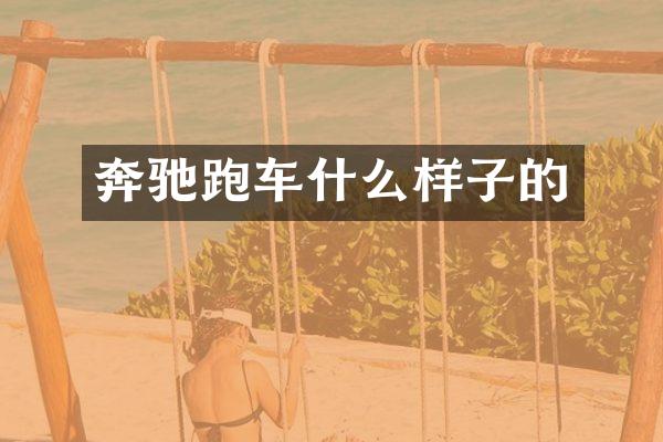 奔驰跑车什么样子的