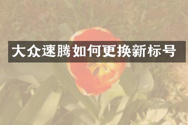 大众速腾如何更换新标号