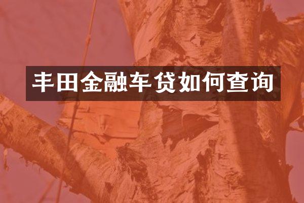 丰田金融车贷如何查询