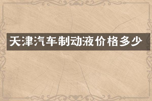 天津汽车制动液价格多少