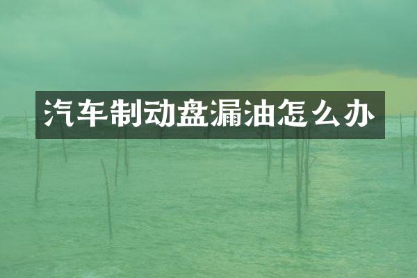 汽车制动盘漏油怎么办