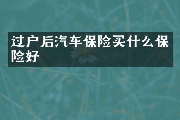 过户后汽车保险买什么保险好