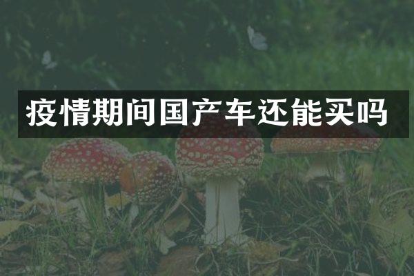 疫情期间国产车还能买吗