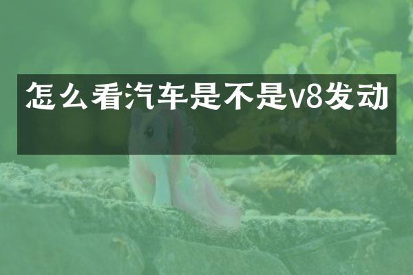 怎么看汽车是不是v8发动机