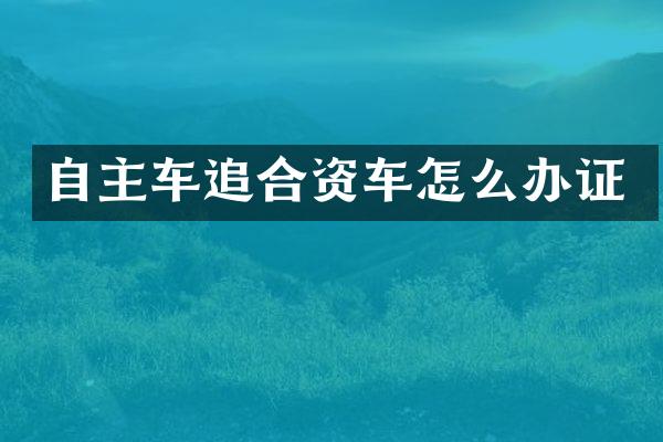 自主车追合资车怎么办证
