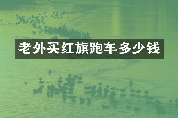 老外买红旗跑车多少钱