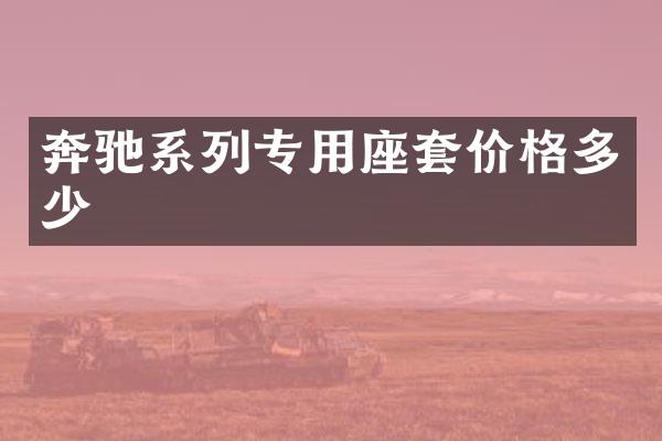 奔驰系列专用座套价格多少