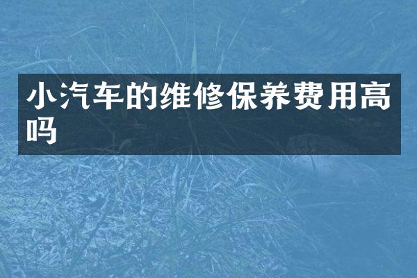 小汽车的维修保养费用高吗