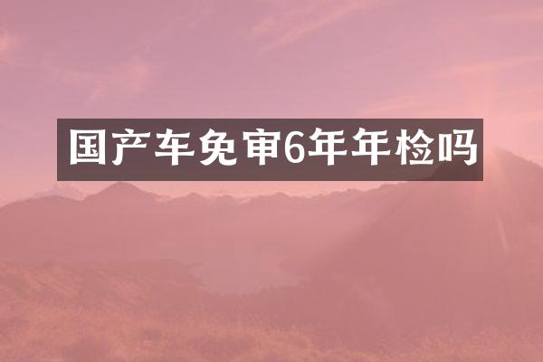 国产车免审6年年检吗