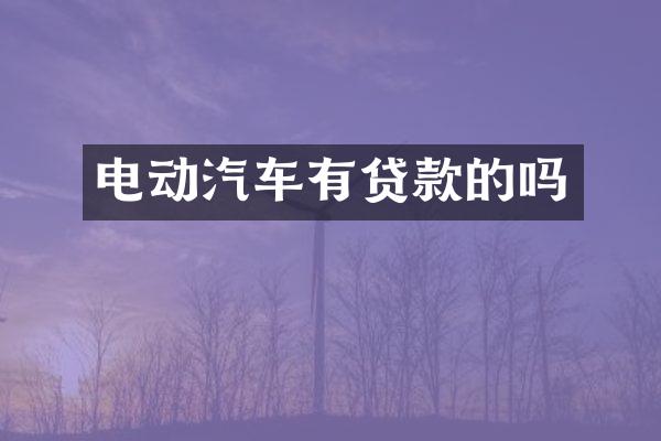 电动汽车有贷款的吗
