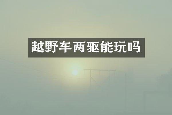 越野车两驱能玩吗