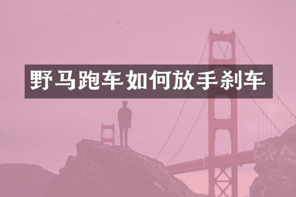 野马跑车如何放手刹车