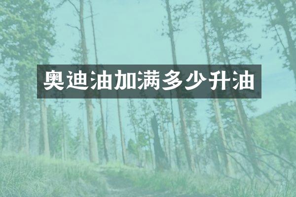 奥迪油加满多少升油