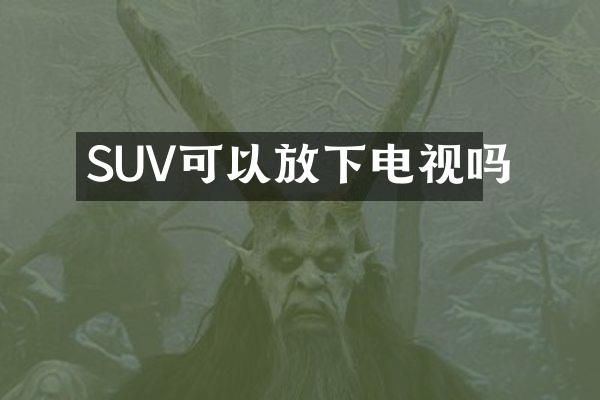 SUV可以放下电视吗