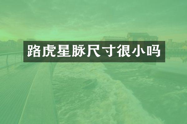 路虎星脉尺寸很小吗