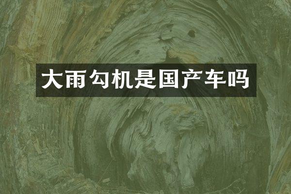 大雨勾机是国产车吗