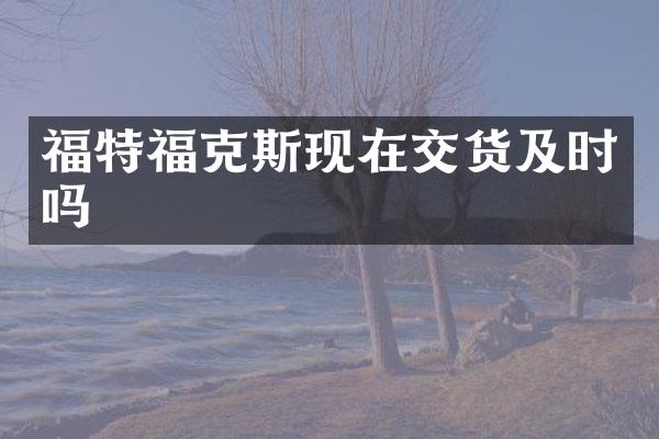 福特福克斯现在交货及时吗