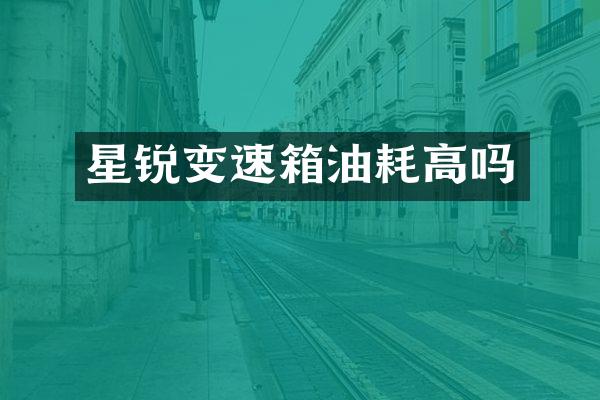 星锐变速箱油耗高吗