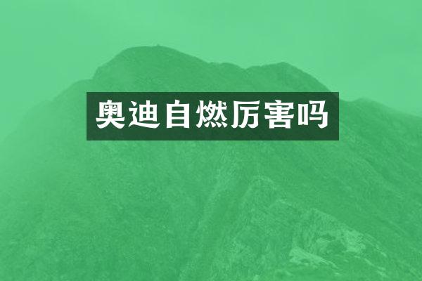 奥迪自燃厉害吗