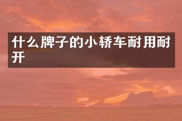 什么牌子的小轿车耐用耐开