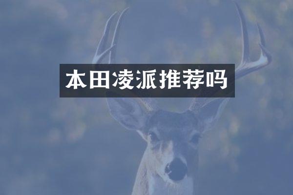 本田凌派推荐吗