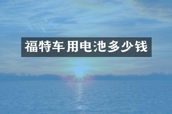 福特车用电池多少钱
