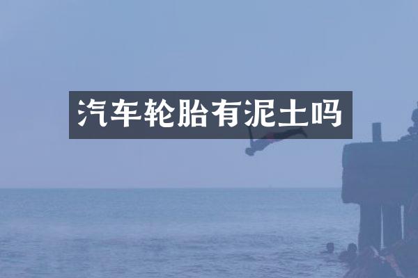 汽车轮胎有泥土吗