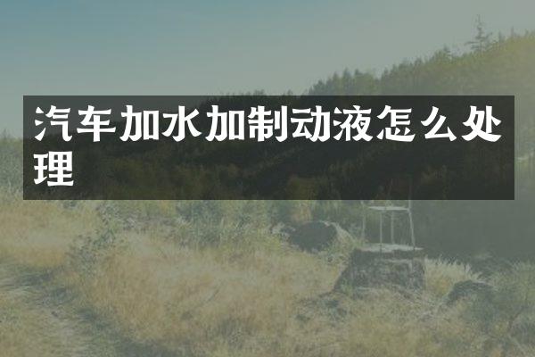汽车加水加制动液怎么处理