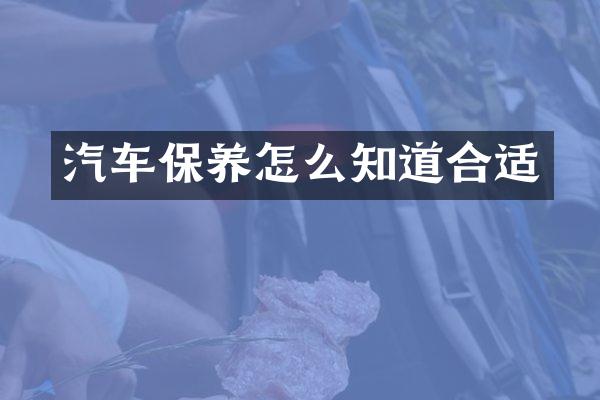汽车保养怎么知道合适