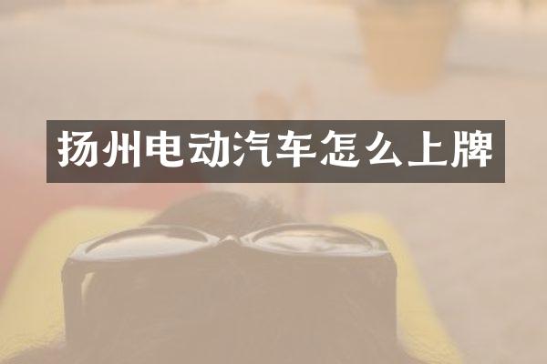 扬州电动汽车怎么上牌