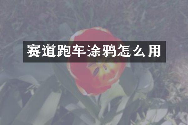赛道跑车涂鸦怎么用