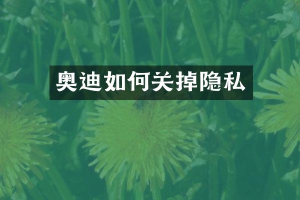 奥迪如何关掉隐私