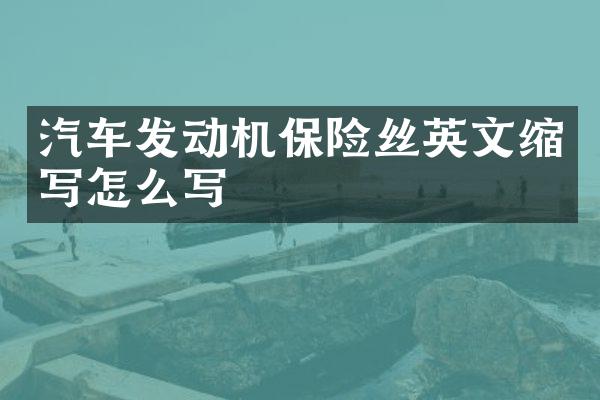 汽车发动机保险丝英文缩写怎么写