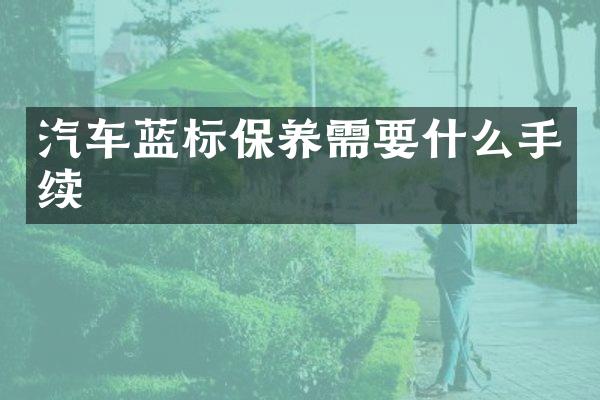 汽车蓝标保养需要什么手续