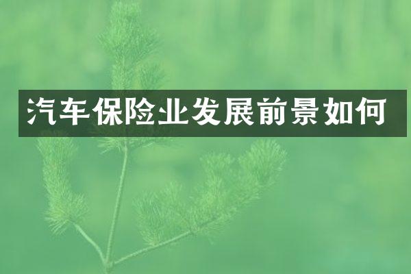 汽车保险业发展前景如何