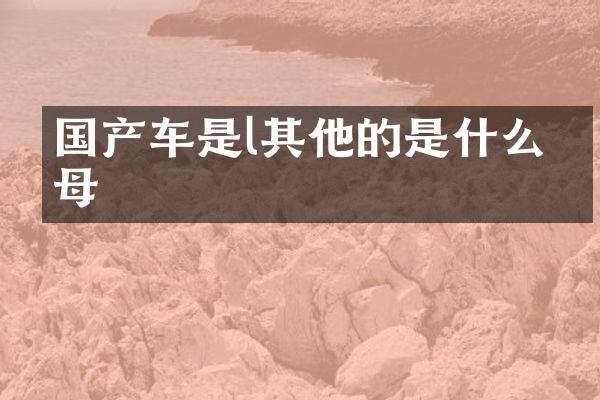 国产车是l其他的是什么字母